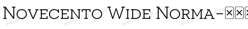 Novecento Wide Norma字体转换